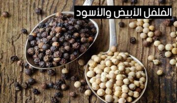 السؤال الذي حير الجميع.. هذا هو الفرق بين الفلفل الأبيض والأسود.. ياريتني عرفته من زمان!