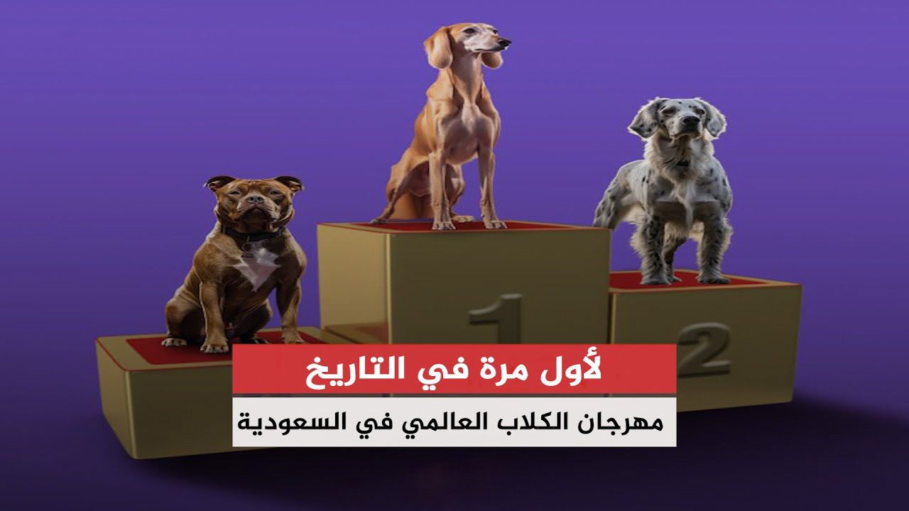 "لأول مرة في التاريخ" كم عدد البطولات في المهرجان العالمي للكلاب.. ما هو السر وراء الضجة العالمية؟ 5 “لأول مرة في التاريخ” كم عدد البطولات في المهرجان العالمي للكلاب.. ما هو السر وراء الضجة العالمية؟
