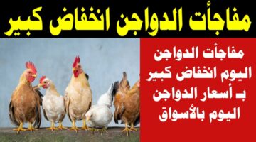انخفاض أسعار الدواجن