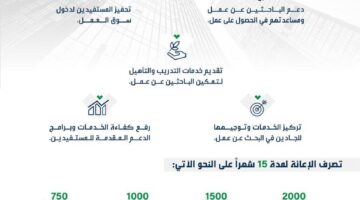 برنامج اعانة