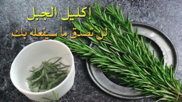 وصفة اكليل الجبل الجبارة لتطويل ونمو الشعر بدون توقف وتنعيمة ونممو الفراغات هيبقى احلى من شعر الهنود