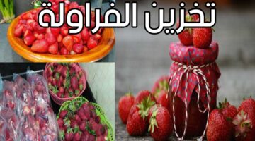 تخزين الفراولة في الفريزر