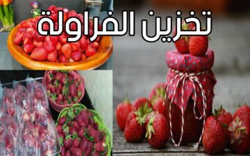 خزنيها لرمضان.. تعرف علي أسهل طريقة لتخزين الفراولة بالفريزر من الموسم للموسم