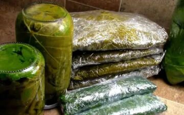 “من السنة للسنة”.. سر طريقة تخزين ورق العنب في الفريزر لأطول فترة ممكنة بدون تغير طعمه أو لونه.. مكون عمره مايخطر على بالك