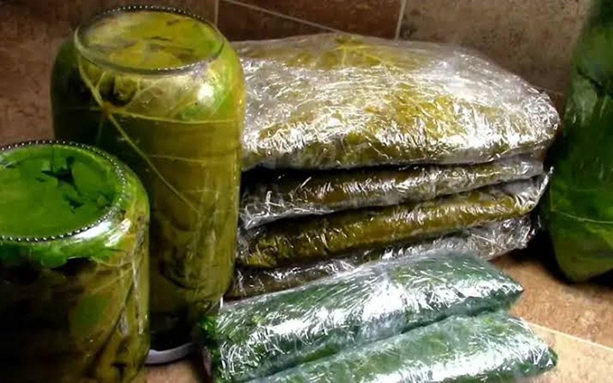“من السنة للسنة”.. سر طريقة تخزين ورق العنب في الفريزر لأطول فترة ممكنة بدون تغير طعمه أو لونه.. مكون عمره مايخطر على بالك