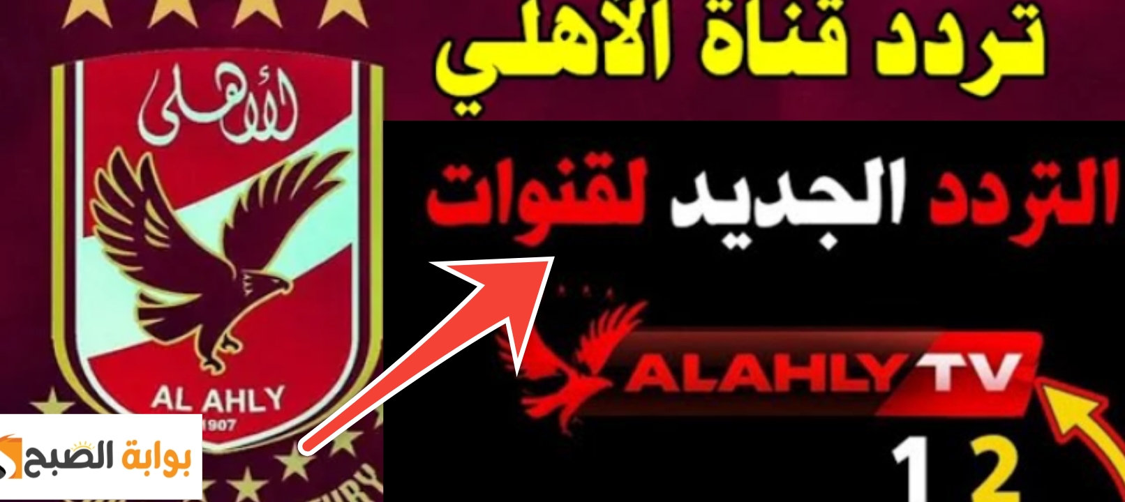 تردد قناة الأهلي الجديد 2024 على النايل سات بجودة Al Ahly TV HD 2 تردد قناة الأهلي الجديد 2024 على النايل سات بجودة Al Ahly TV HD