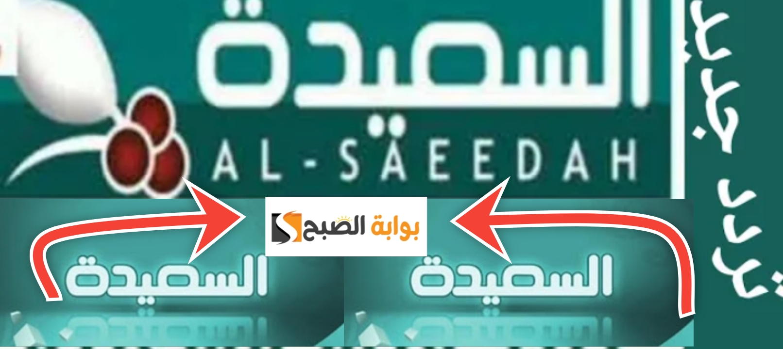 تردد قناة السعيدة الجديد 2024 لمتابعة اهم 7 برامج في الوطن العربي 5 تردد قناة السعيدة الجديد 2024 لمتابعة اهم 7 برامج في الوطن العربي