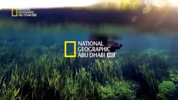 اضبط الآن…تردد قناة ناشيونال جيوغرافيك National Geographic على النايل سات والعرب سات
