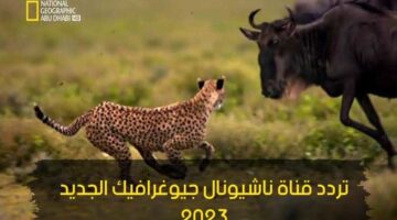 تردد قناة ناشيونال جيوغرافيك الجديد