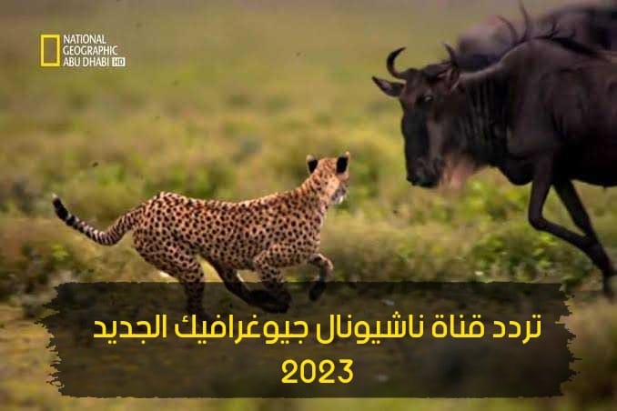 ثبتها الان.. اضبط تردد قناة ناشيونال جيوغرافيك 2023 الجديد على نايل سات وعرب سات.. خلي أطفالك يستفادوا! 4 ثبتها الان.. اضبط تردد قناة ناشيونال جيوغرافيك 2023 الجديد على نايل سات وعرب سات.. خلي أطفالك يستفادوا!