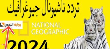 تردد قناة ناشيونال جيوغرافيك أبوظبي 2024 ثبت وشاهد المغامرات البرية والبحرية