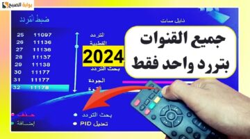 ترددات قنوات النايل سات 2024 1