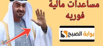 تقديم طلب مساعدة من الديوان للوافدين في الامارات إلكترونيا 2024