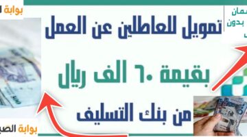 تمويل الضمان الاجتماعي 60 ألف ريال