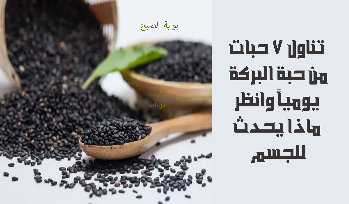 تناول 7 حبات من حبة البركة يومياً وانظر ماذا يحدث للجسم