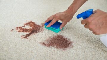 تنظيف السجاد من البقع القديمة وإعادة لونه ورونقه الأصلي