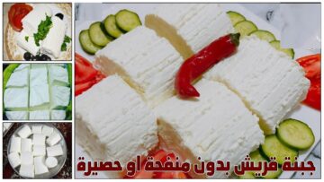 طريقة عمل جبن قريش وبدون حصيره في المنزل مش هتشريه من برة تاني وفري فلوسك