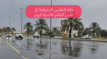 حالة الطقس المتوقعة في كأس العالم للأندية