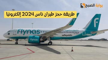حجز طيران ناس