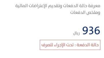 حساب المواطن حالة الدفعة