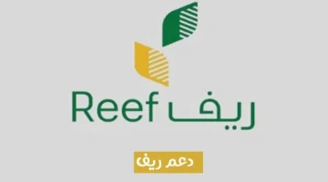 خطوات الاستعلام عن دعم ريف 1445