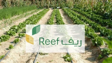 تعرف على أهم الشروط من أجل التقديم للتسجيل في دعم الريف للأسر المنتجة 1445