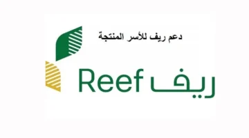 دعم ريف 2