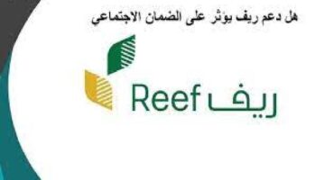 دعم ريف 3