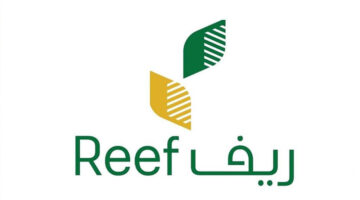 دعم ريف 6
