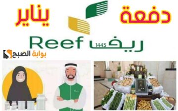 “لكل المستفيدين”.. موعد صرف دعم ريف دفعة يناير 1445/2024 ورابط الاستعلام reef.gov.sa وفقاً لوزارة المياه والبيئة الزراعية