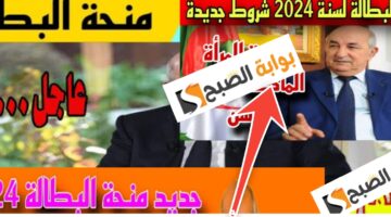 رابط التسجيل في منحة البطالة 2024