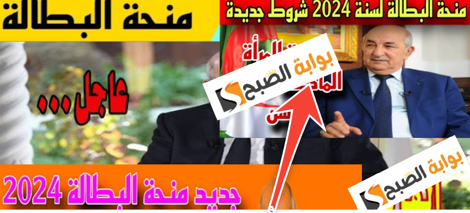 رابط موقع الوكالة الوطنية للتشغيل للتسجيل في منحة البطالة 2024 5 رابط موقع الوكالة الوطنية للتشغيل للتسجيل في منحة البطالة 2024