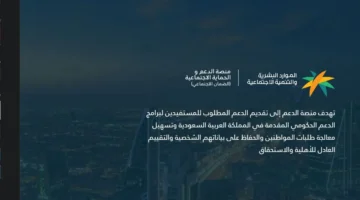 رواتب الضمان 3