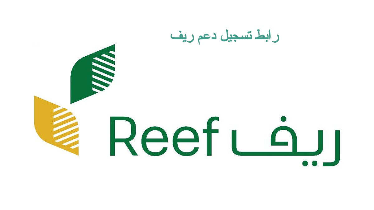 كيف اسجل في برنامج ريف 1445 والخطوات اللازمة للاستحقاق والاستعلام عن الأهلية ؟ 5 كيف اسجل في برنامج ريف 1445 والخطوات اللازمة للاستحقاق والاستعلام عن الأهلية ؟