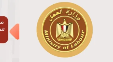 زيارة وزير العمل لمصنع برئيس اتحاد المشروعات الصغيرة