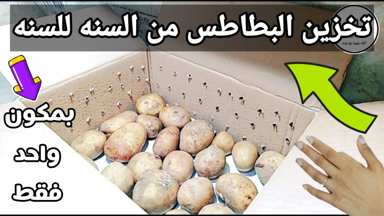 بأسرار التجار.. ملعقة واحدة لتخزين البطاطس بدون فريزر لمدة سنة بدون تغيير في لونها وطعمها هتفضل فريش 5 بأسرار التجار.. ملعقة واحدة لتخزين البطاطس بدون فريزر لمدة سنة بدون تغيير في لونها وطعمها هتفضل فريش