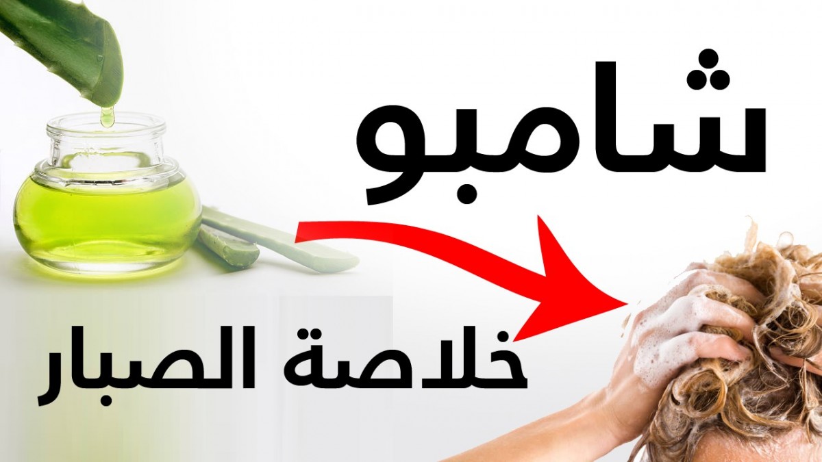 افضل طريقه لعمل شامبو الصبار الطبيعي لترطيب وتنعيم وتطويل الشعر 5 افضل طريقه لعمل شامبو الصبار الطبيعي لترطيب وتنعيم وتطويل الشعر
