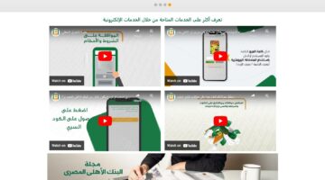 شراء مديونية بنك الاهلي المصري . الشروط والمسندات 2