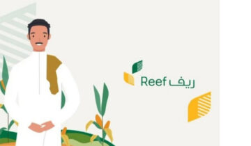 شروط التسجيل في دعم ريف وخطوات تقديم طلب الدعم الريفي