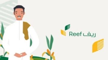 شروط التقديم في ريف