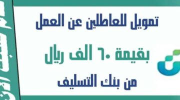 شروط تمويل العمل الحر ومزايا التمويل للراغبين بالحصول عليه