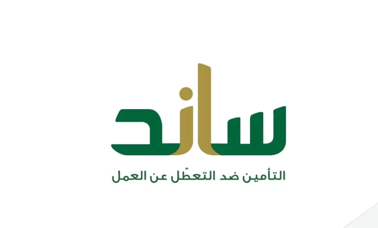 هيئة التأمينات الاجتماعية توضح شروط ساند للنساء للحصول على الدعم 5 هيئة التأمينات الاجتماعية توضح شروط ساند للنساء للحصول على الدعم