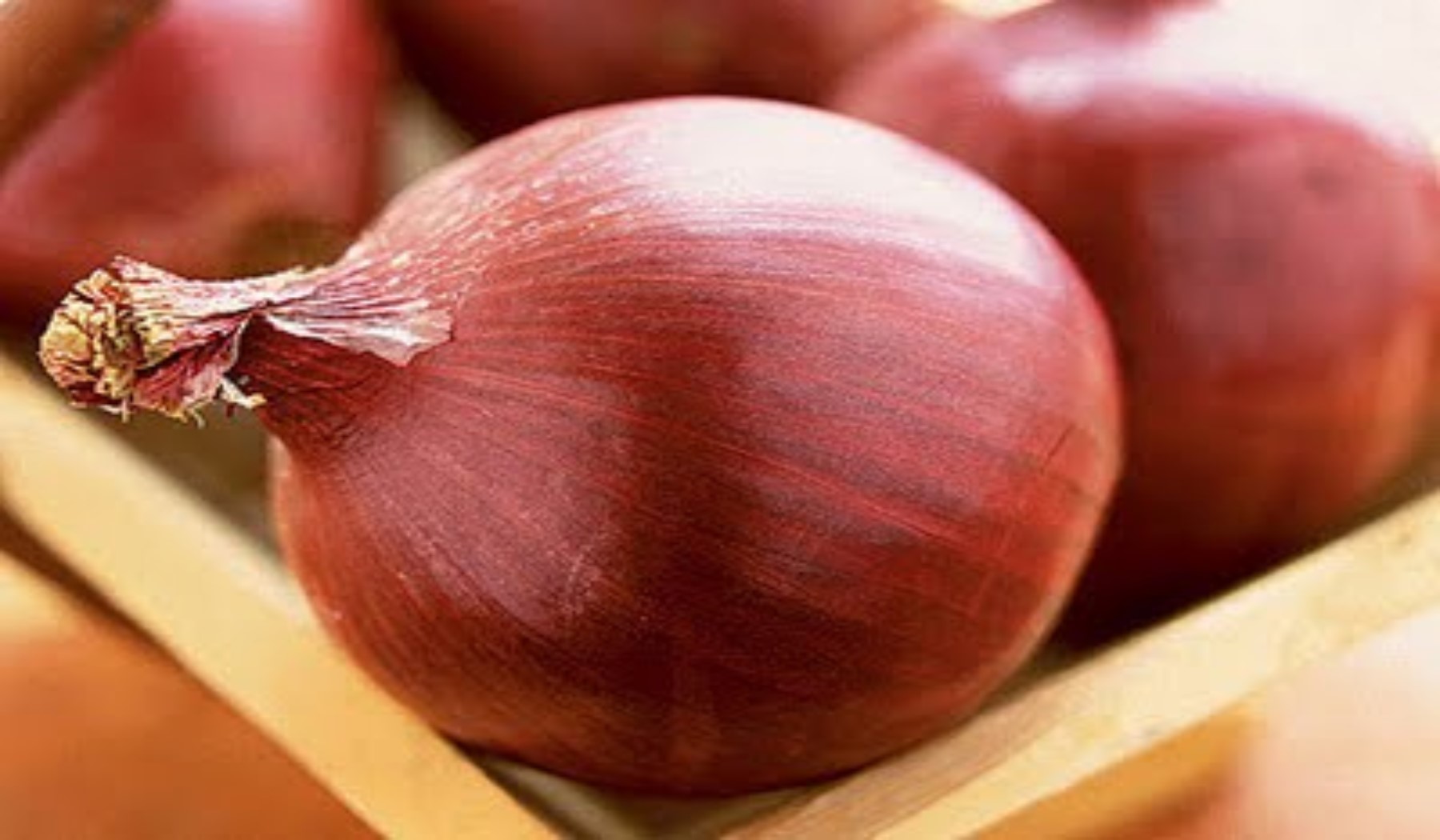 البصل هيرخص أمته؟ 5 البصل هيرخص أمته؟
