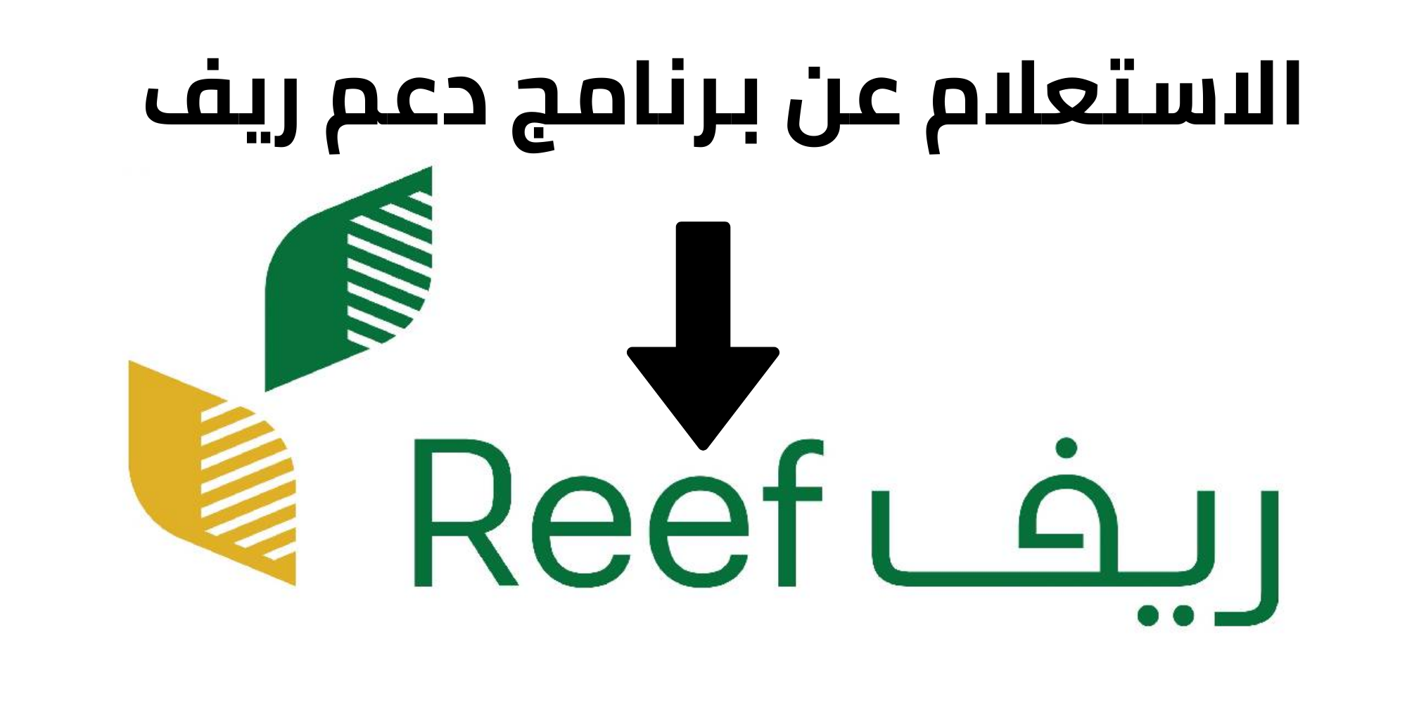 شروط التسجيل في برنامج الدعم الريفي واستفد من الدعم المالي 1445 والاستفسار عن دعم