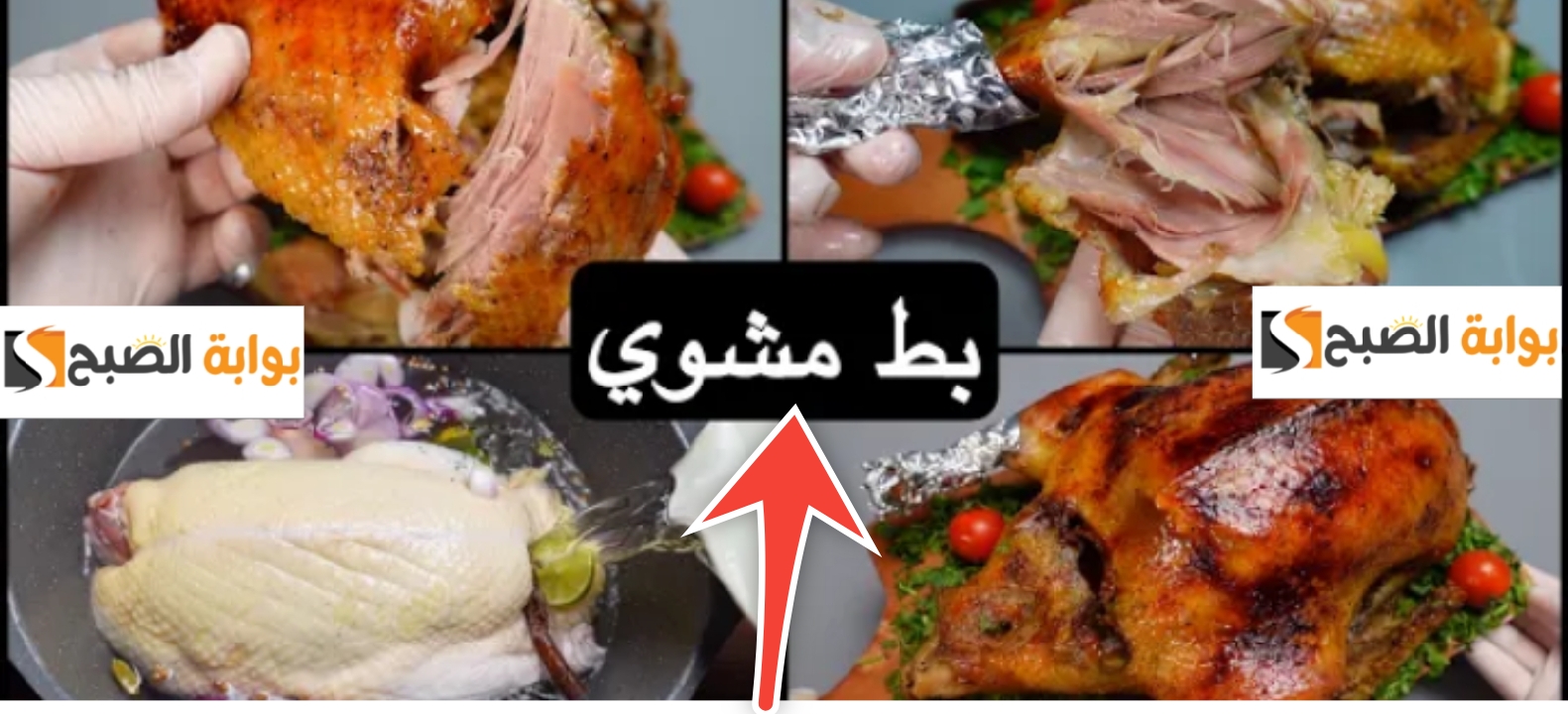 طريقة تتبيل البط مثل المطاعم الكبري أسرار لا تعرفها ربات البيوت 5 طريقة تتبيل البط مثل المطاعم الكبري أسرار لا تعرفها ربات البيوت