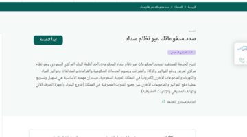 طريقة تسديد المدفوعات في نظام سداد 2024
