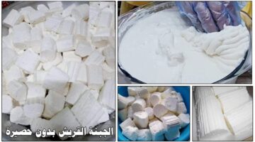 طريقة عمل الجبنة القريش 2