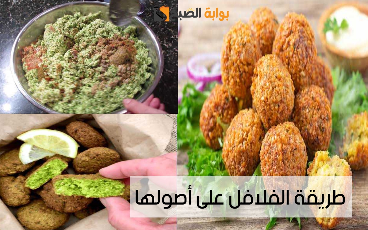 «صوت القرمشة هيطربك».. طريقة عمل الفلافل على الطريقة المصرية بأسرار المطاعم والمحلات وبطعم يفتح النفس 6 «صوت القرمشة هيطربك».. طريقة عمل الفلافل على الطريقة المصرية بأسرار المطاعم والمحلات وبطعم يفتح النفس