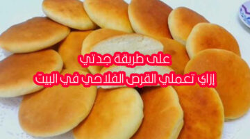 طريقة عمل القرص الفلاحي 1