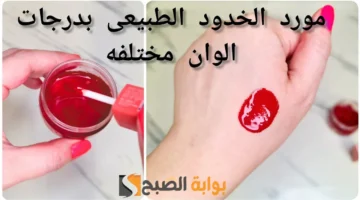 عمل مورد الخدود والشفايف في البيت